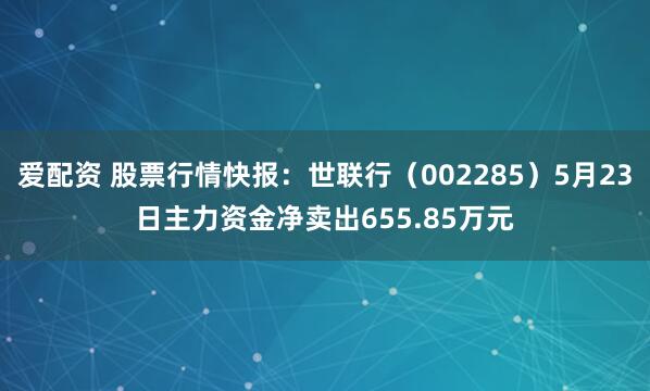 爱配资 股票行情快报：世联行（002285）5月23日主力资金净卖出655.85万元