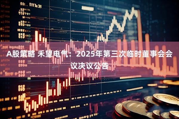 A股策略 禾望电气：2025年第三次临时董事会会议决议公告
