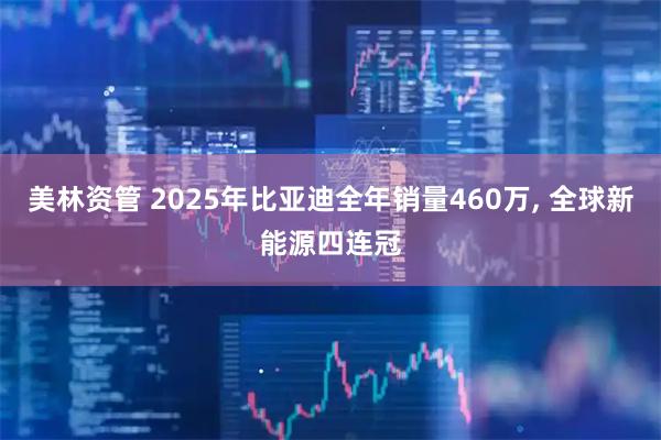 美林资管 2025年比亚迪全年销量460万, 全球新能源四连冠